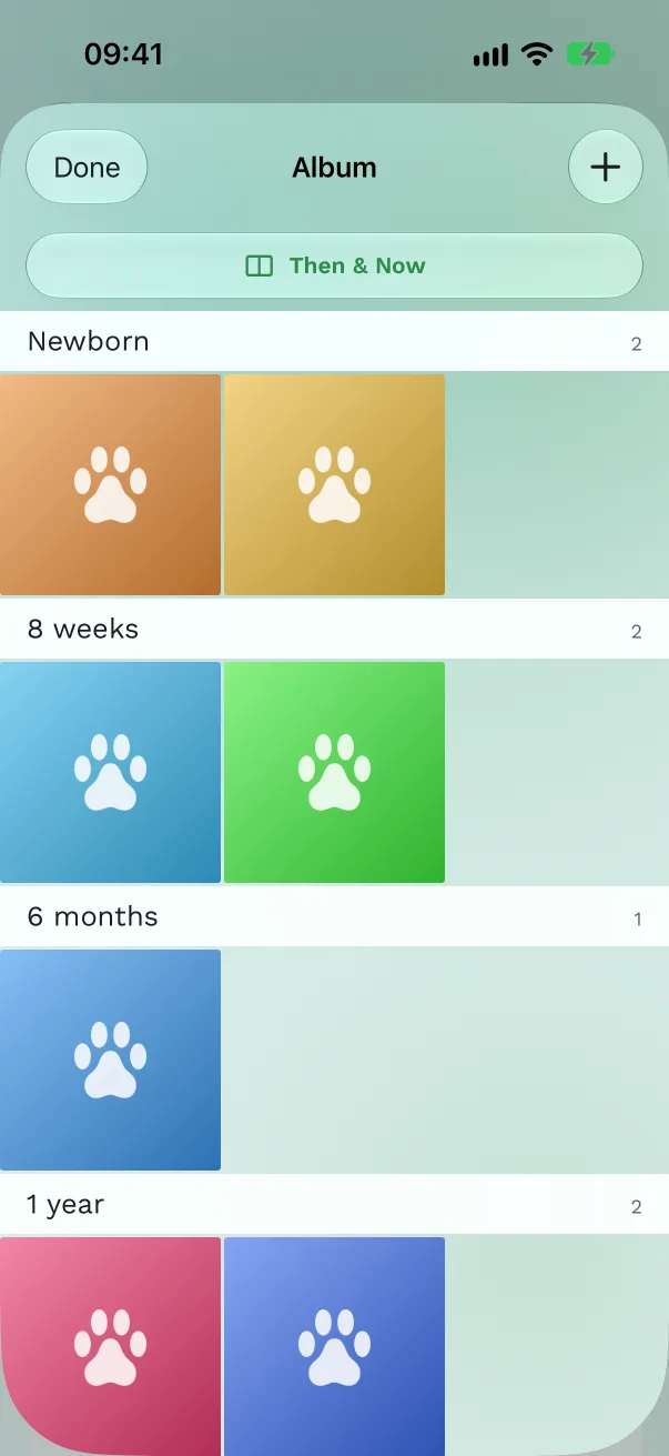 The album grid with groups headed Newborn, 8 weeks, 6 months and 1 year