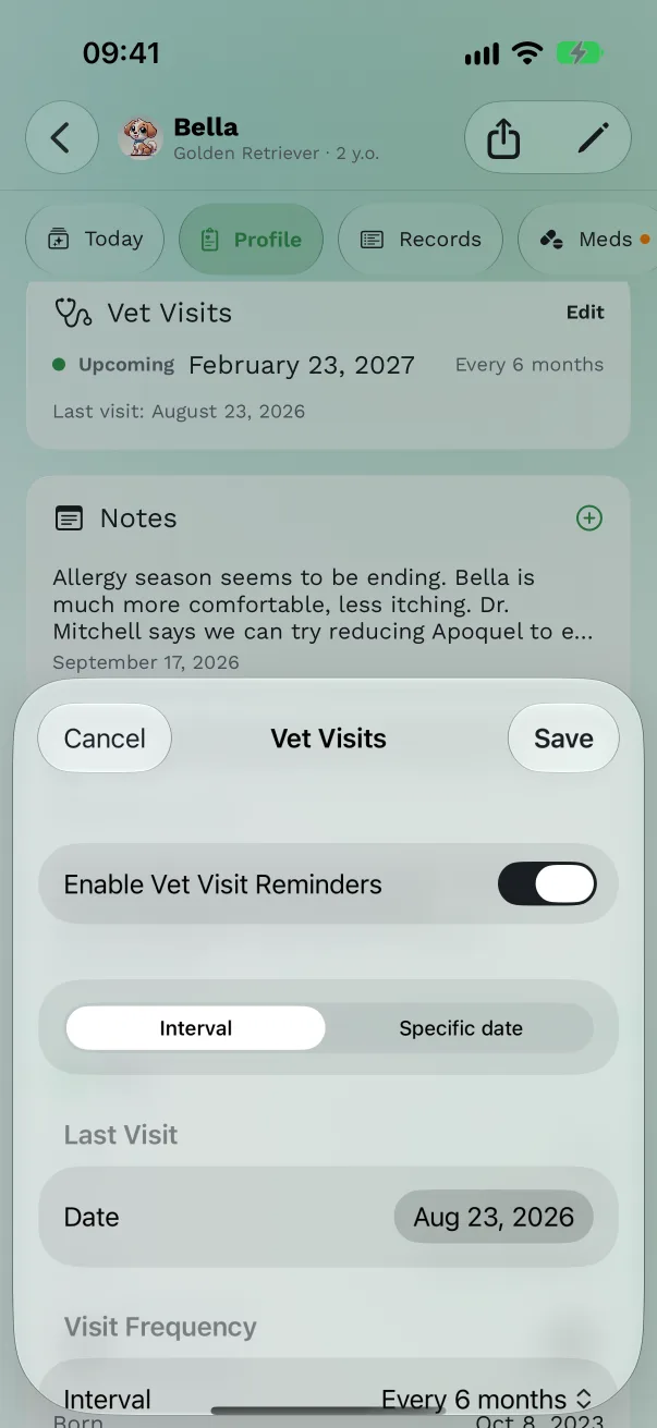 The Vet Visits sheet with Enable Vet Visit Reminders on, Schedule by Interval, Last Visit and Visit Frequency set to Annually